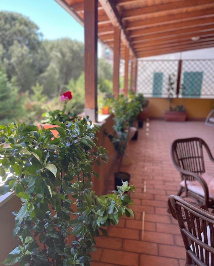 La Terrazza Dei Ciliegi 호텔 산타마리아데그리안젤리 외부 사진